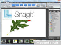 SnagIt 11.1.0.248