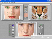 Abrosoft FantaMorph Pro 3.6.5