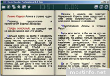 ICE Book Reader Pro 9.1.0